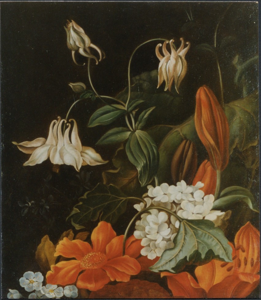 Da: Rachel Ruysch - Vaso di fiori - particolare oluo su tela cm. 40 x 40